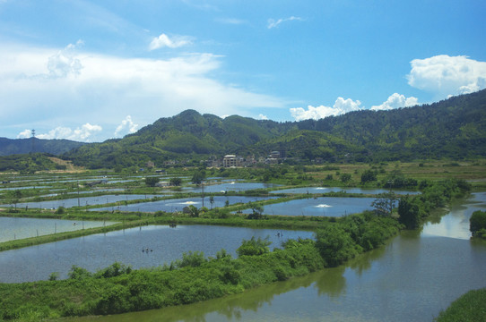 虾塘基地