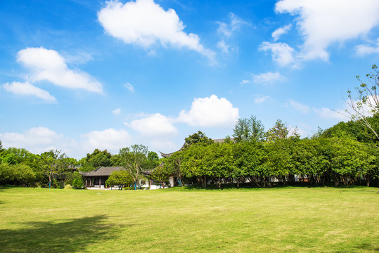 草坪树林天空