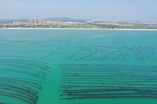 荣成海带养殖海洋牧场