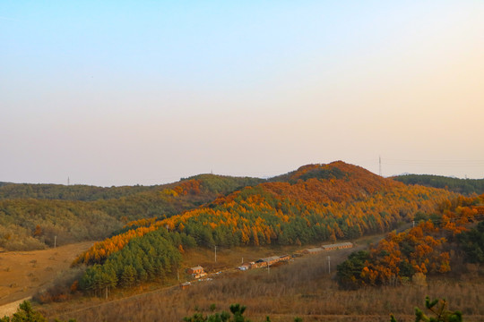 多彩山林