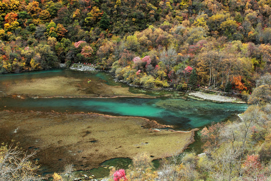 茂县松坪沟秋色彩林湖水