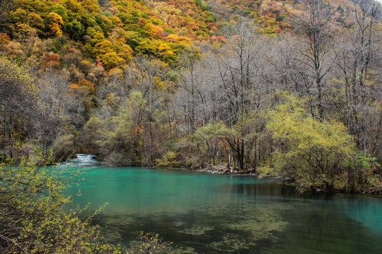 茂县松坪沟秋色生态湖水