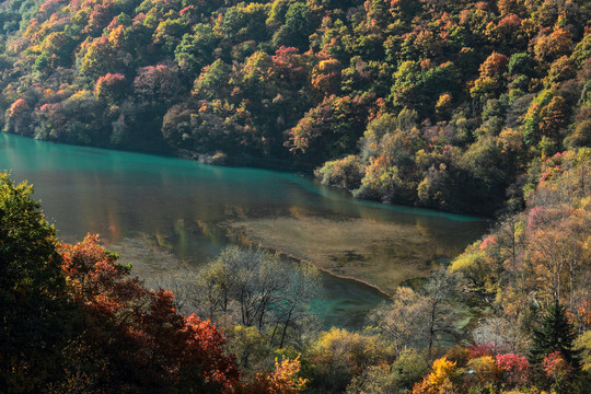 茂县松坪沟秋色生态湖水