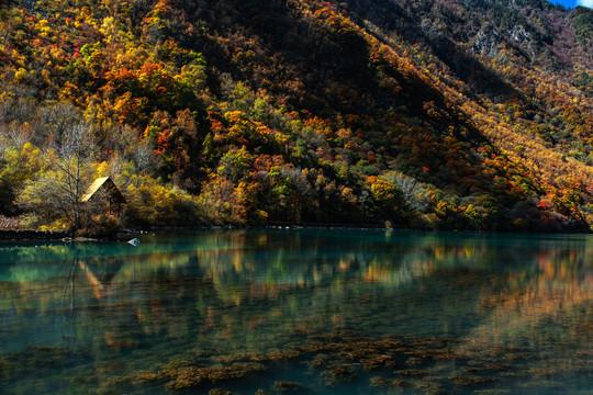 阿坝州松坪沟秋色湖水