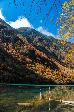 阿坝州松坪沟秋色湖水