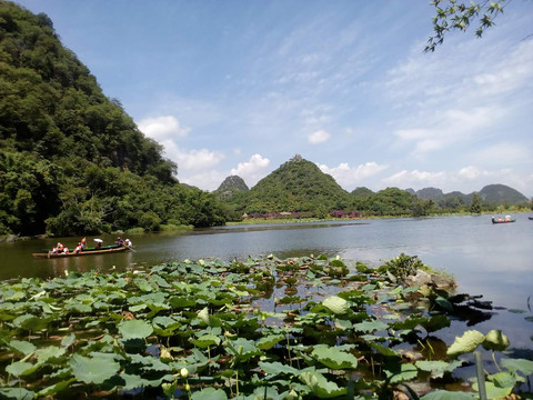 云南丘北普者黑风景区荷塘