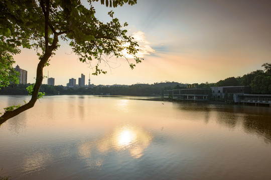 麓湖夕阳