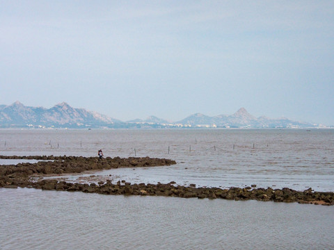 大海滩涂