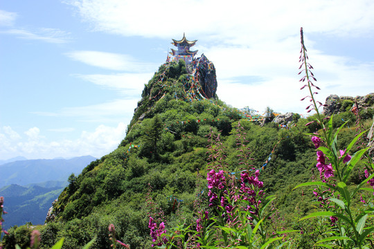 莲花山