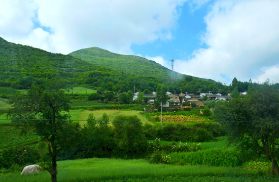 乡村自然风光