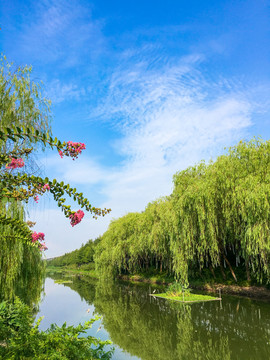 水清岸绿鲜花盛开