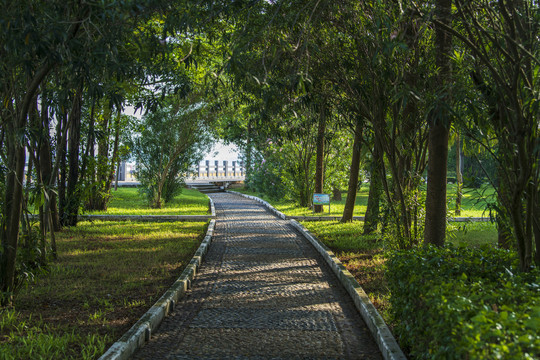 鹅卵石路面