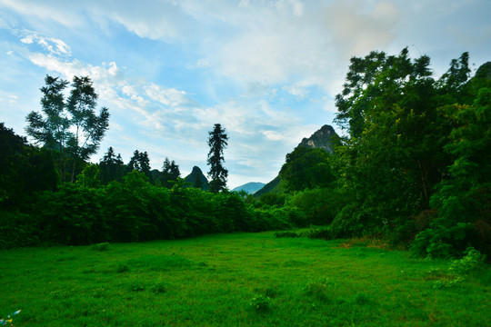 钟山田野风光