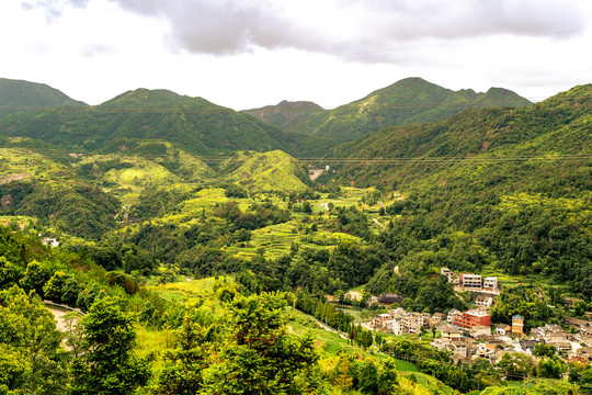 山中村庄