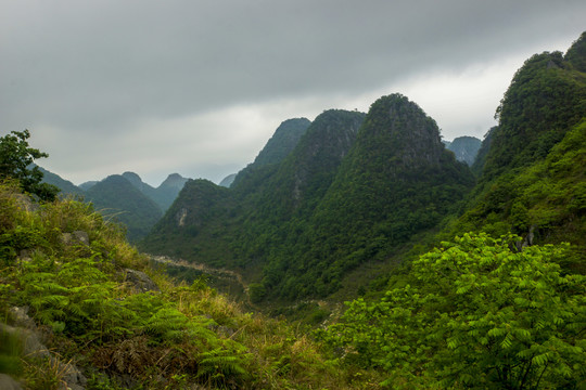 云南高山植被风光