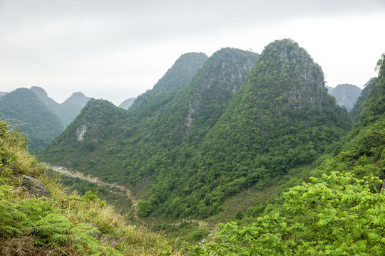 云南高山植被风光