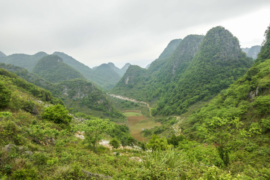 云南高山植被风光