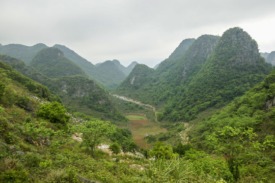 云南高山植被风光