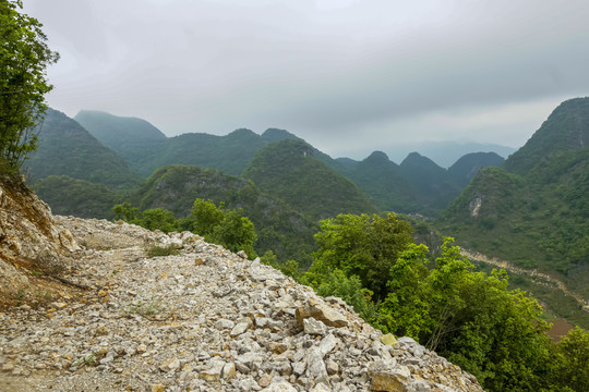 云南高山植被风光