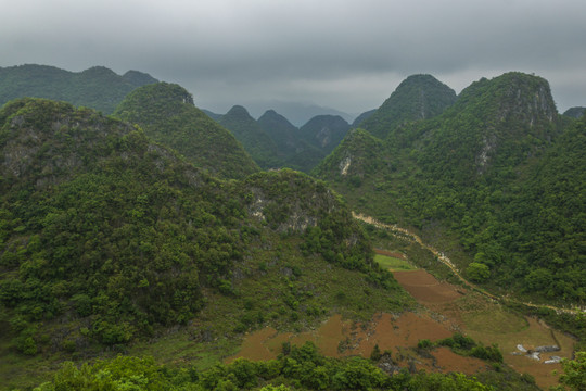 云南高山植被风光