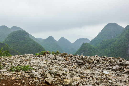 云南高山植被风光