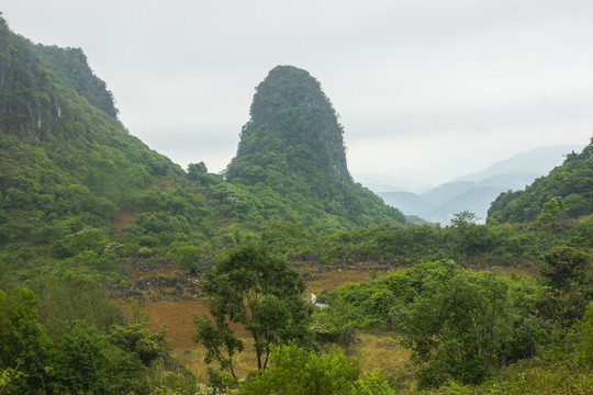 云南高山植被风光