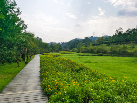 木栈道风景