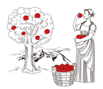摘苹果女人