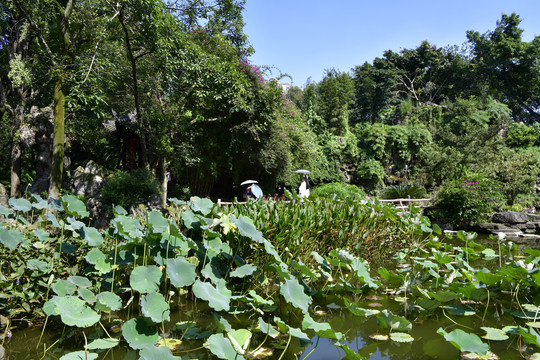 百花潭公园