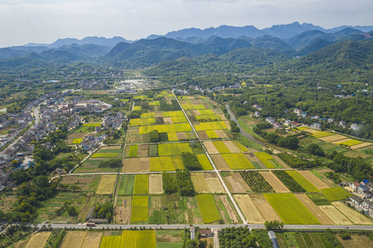 美丽乡村航拍