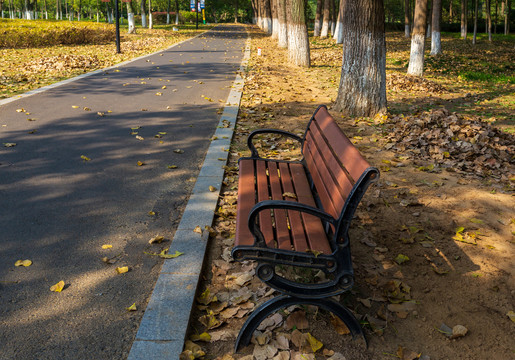 公园小路