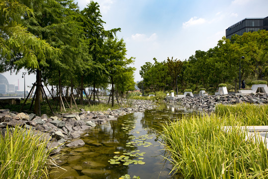 滨江湿地