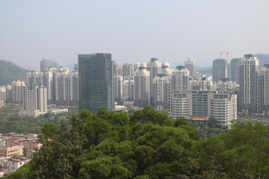 中山市紫馬嶺公園動物和風景圖片