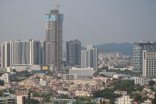 中山市紫马岭公园动物和风景图片