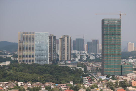 中山市紫马岭公园动物和风景图片