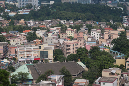 中山市紫马岭公园动物和风景图片