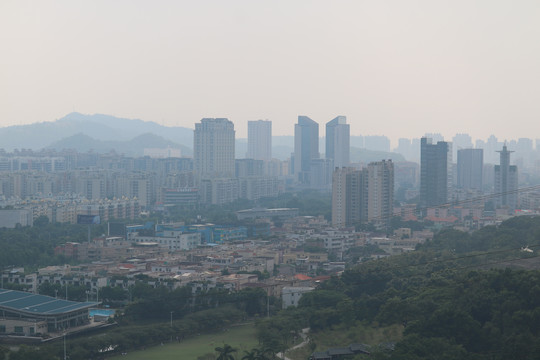 中山市紫马岭公园动物和风景图片