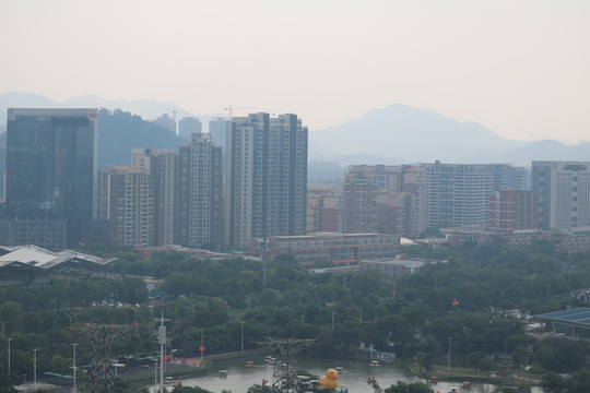 中山市紫马岭公园动物和风景图片