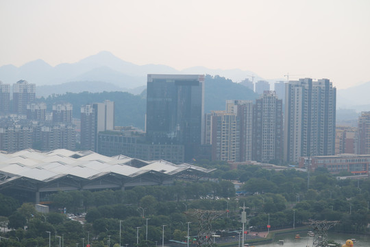 中山市紫马岭公园动物和风景图片