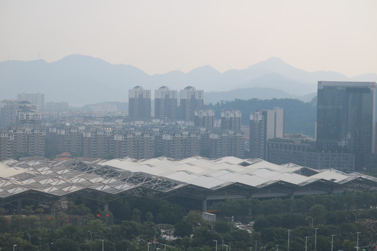 中山市紫马岭公园动物和风景图片