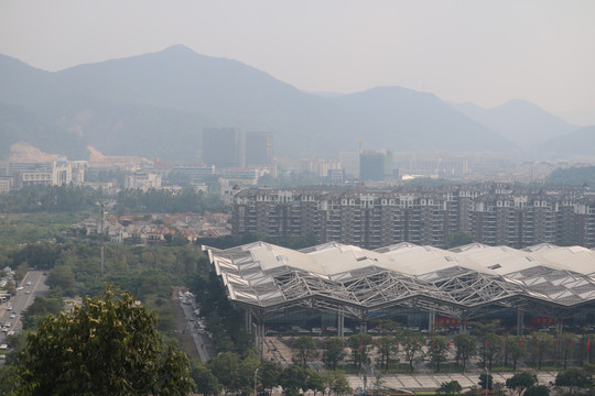 中山市紫马岭公园动物和风景图片