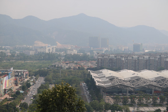 中山市紫马岭公园动物和风景图片