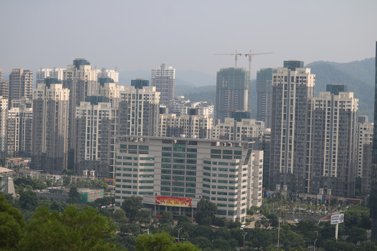 中山市紫马岭公园动物和风景图片