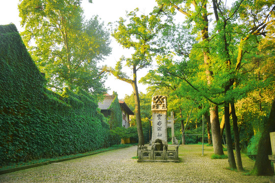 灵寺谷景区