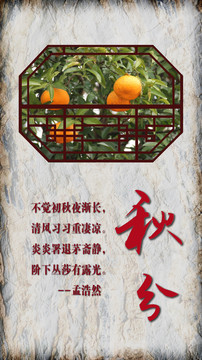 秋分
