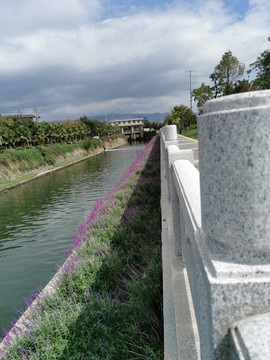 河道景观绿化