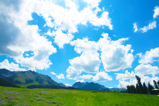 大草原风景