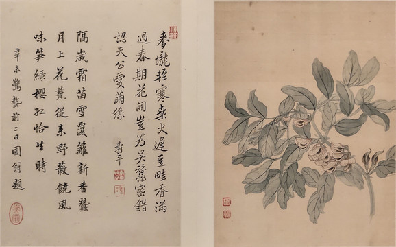 恽寿平清代花卉字画