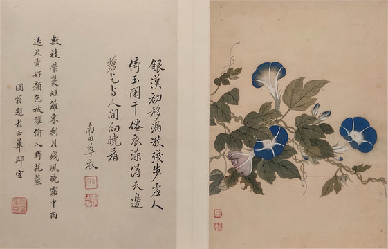 恽寿平清代花卉字画