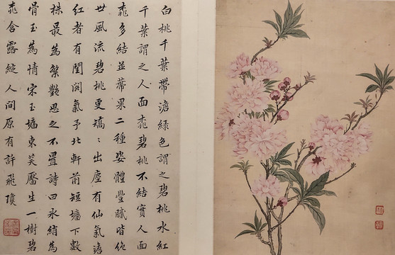 惲壽平清代花卉字畫(huà)